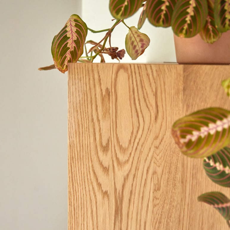 Easy - Massief eikenhouten kolomkast