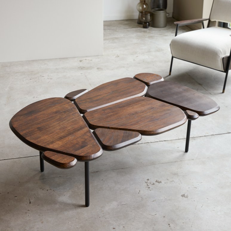 Agar - Mindi Wood and Metal Coffee Table