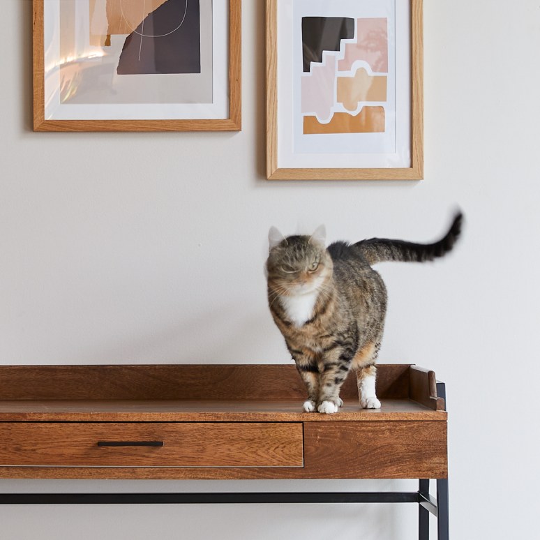 Hedda - Solid mango wood an metal desk