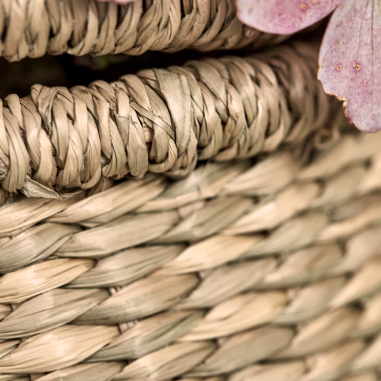 Cesta - Ensemble de Paniers en fibres végétales